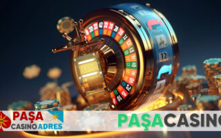 paşa casino 423