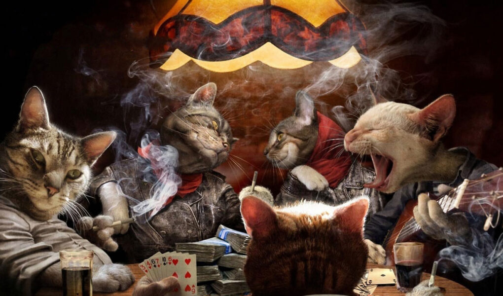 Paşacasino Güncel Giriş