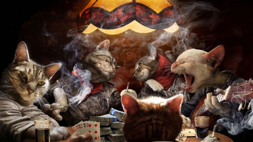 Paşacasino Güncel Giriş