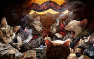Paşacasino Güncel Giriş