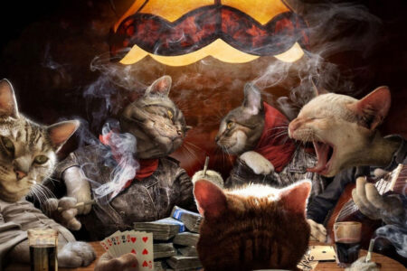Paşacasino Güncel Giriş